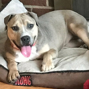 Meet your Posher, Jerry Ann